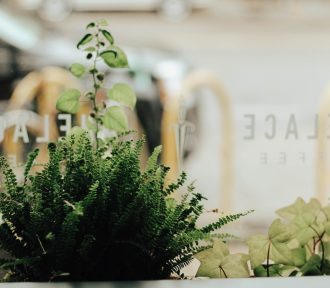 5 Best Japan Destinations for Freelance Writers